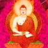 娑婆世界-释迦如来专辑（佛典艺术工作坊）专辑封面