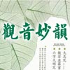 观音妙韵专辑封面