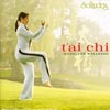 Tai Chi Too（太极II）专辑专辑封面